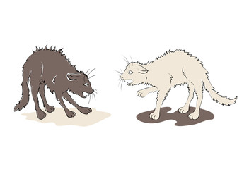Illustration - black cat against white cat