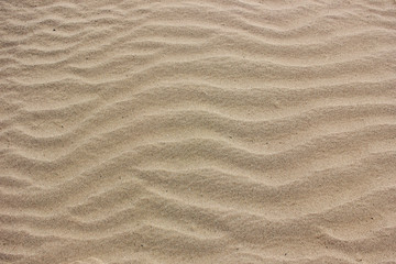 Речной песок - obrazy, fototapety, plakaty