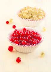 Red and white currant