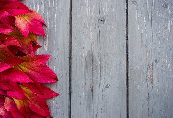 red autumn leaves on grey wood background