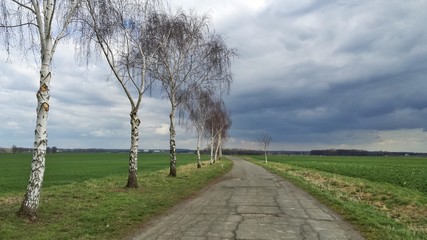 Der Weg