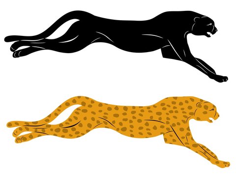 silhouette cheetah