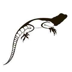 dark silhouette of a lizard with a tail in the form of cells