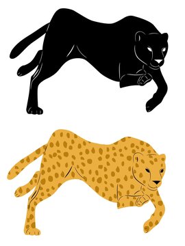 silhouette cheetah