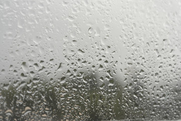 On a summer raining day