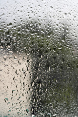 On a summer raining day