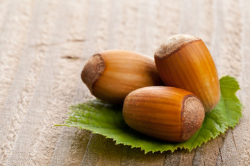 Hazelnuts with hazelnut leaf on wooden background