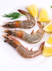 Raw shrimps on white plate.
