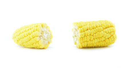 Corn isolated on a white background