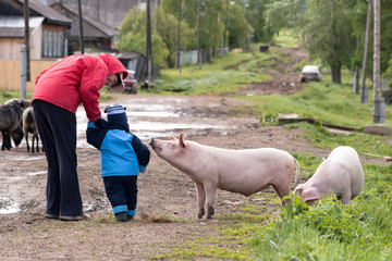 mother shows to child a pig