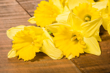 Yellow daffodil flowers on the table