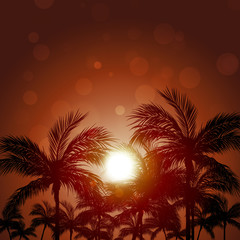 Fototapeta na wymiar Pacific Palms