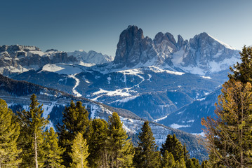 panorama of the Dolomites with snow-capped peaks and conifers