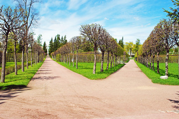 Catherine Park alleys in spring