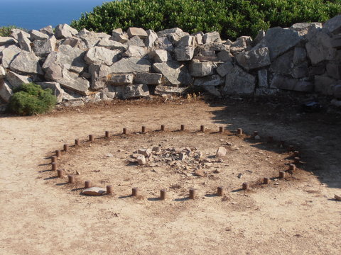 Il cerchio della vita