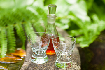 booze - Schnaps im Garten