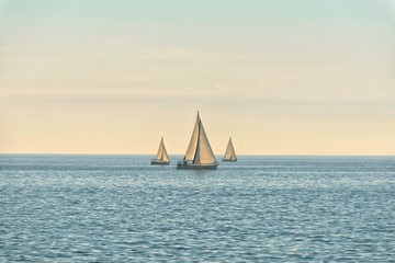 Sail of a sailing boat