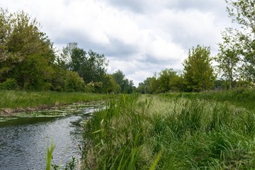 Small river with green grass
