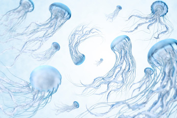 Dancing Blue Jellyfish on bright background. © voyager624