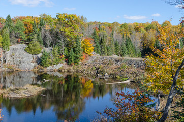 Lake in Algonquin Park