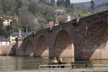 old bridge in Heidelberg