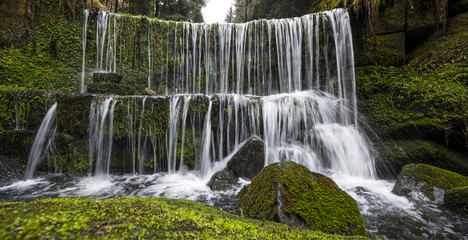 river in forest - Czech saxon switzerland