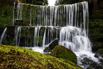 river in forest - Czech saxon switzerland