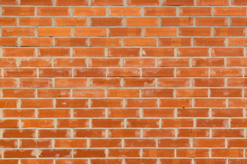 Fototapeta premium Кирпичная стена