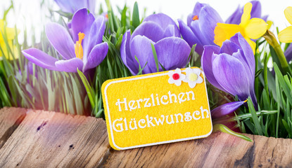 Herzlichen Glückwunsch Karte