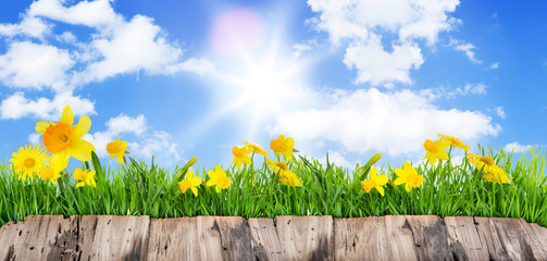 Hintergrund Karte Blumen