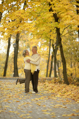 Obraz premium Senior couple in autumn park