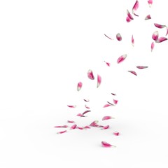 Tulip petals fall to the floor