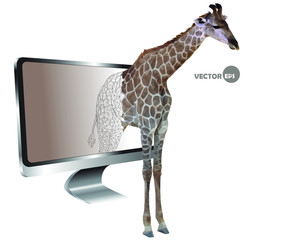 silhouette of a giraffe on the screen