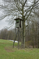 Hunting pulpit in forest