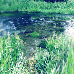 Spring water