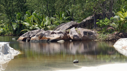 natural tropical beach