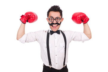 Funny boxer isolated on the white background