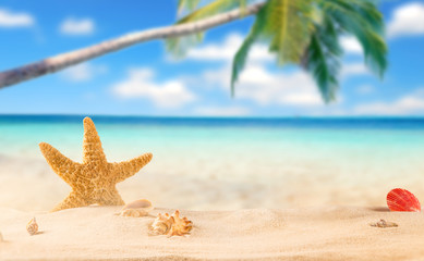 Fototapeta na wymiar summer coconut drink on the beach