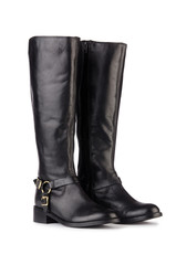 Woman shoes isolated on the white background