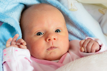 Little newborn baby girl lying