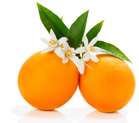 Orange fruits with blossom
