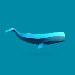 Fototapeta premium sperm whale