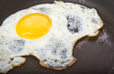 Fried egg in a frying pan