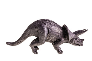 Obraz premium Triceratops