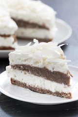 piece of chocolate cake with coconut cream, close-up