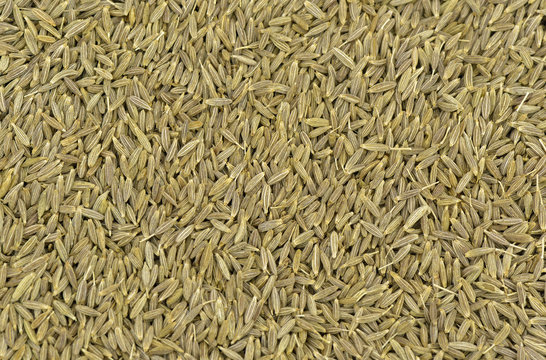 Clos-up of cumin seeds