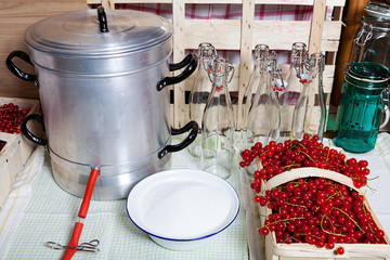 Dampfentsafter und Zutaten für Johannisbeersirup