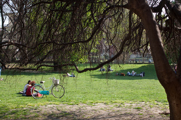 Relax sul prato