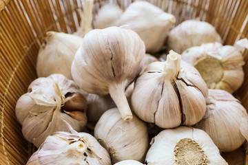 fresh garlic in basket