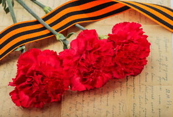 Carnations and St. George ribbon